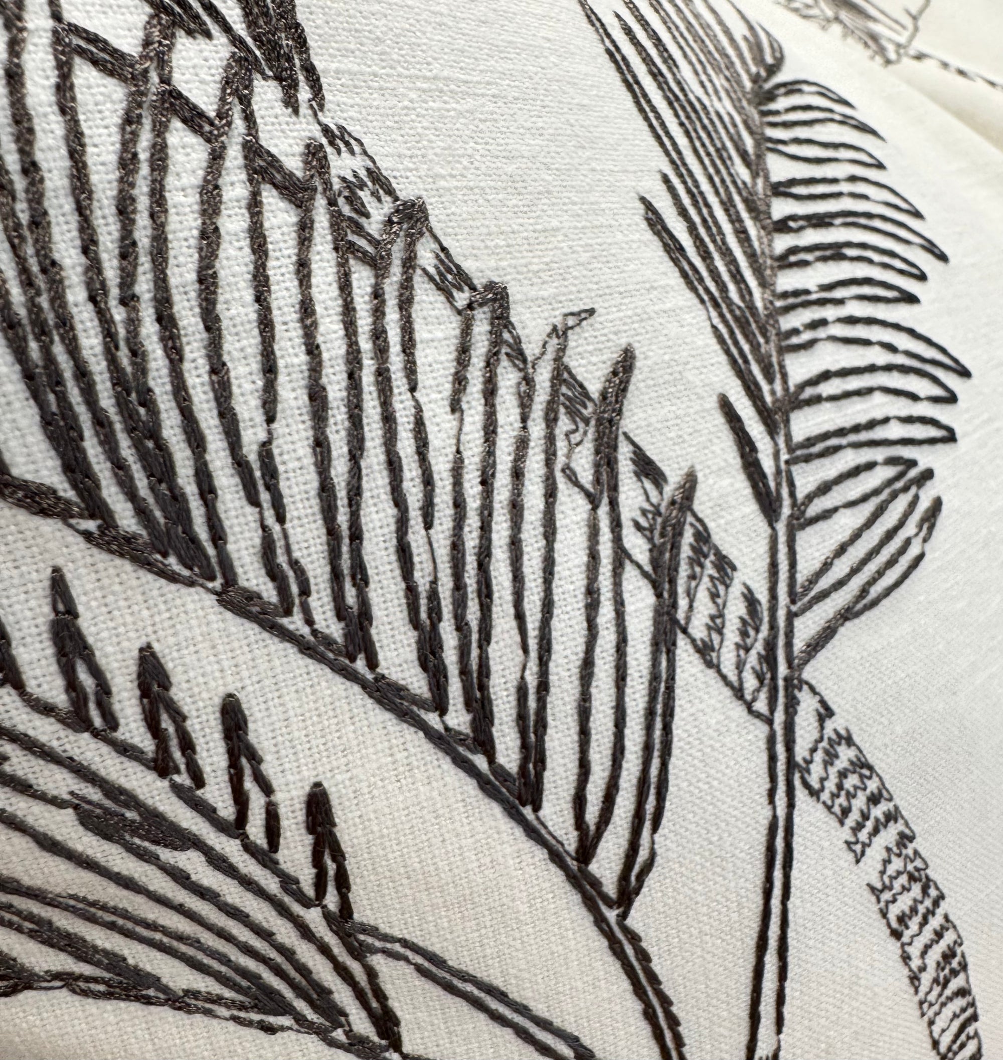 ZANDERS 002 | Cushion Story