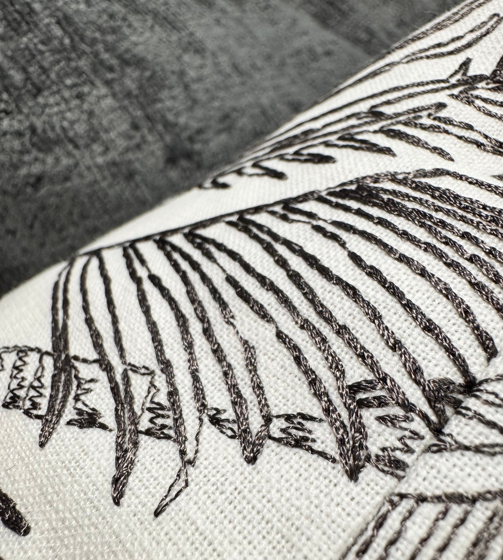 ZANDERS 002 | Cushion Story