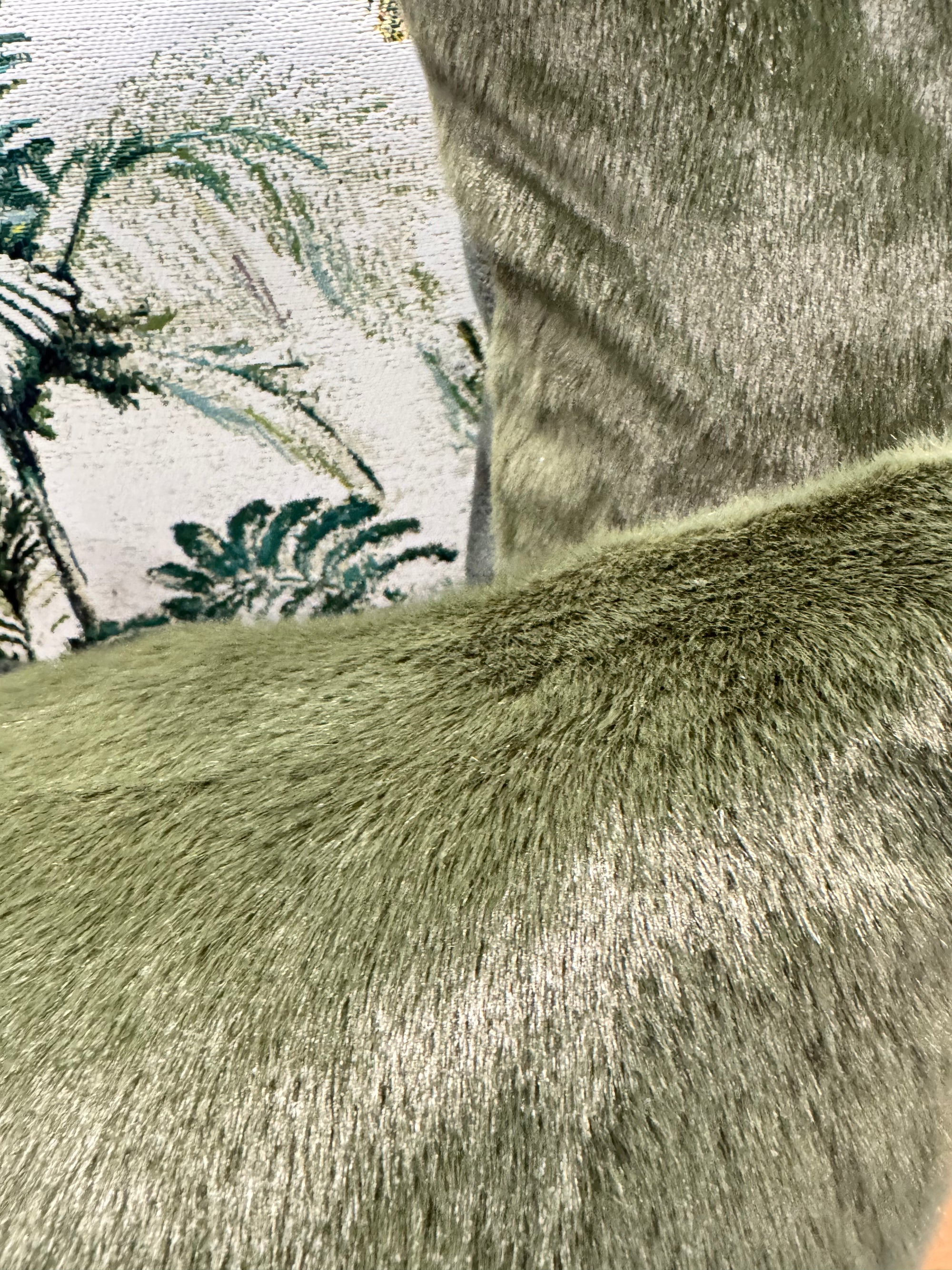 ZANDERS 023 | Cushion Story