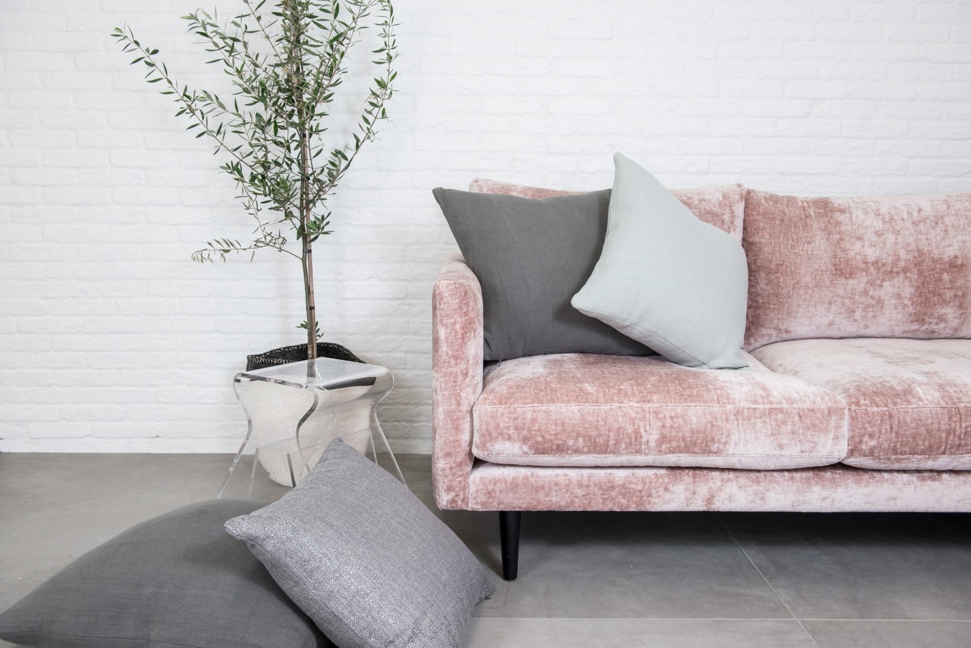 designer cushion & throw pillow in Eternal | Carbon Cushion by Zanders & Co