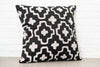 designer cushion & throw pillow in Nomadic | Onyx OUTDOOR CUSHION by Zanders & Co