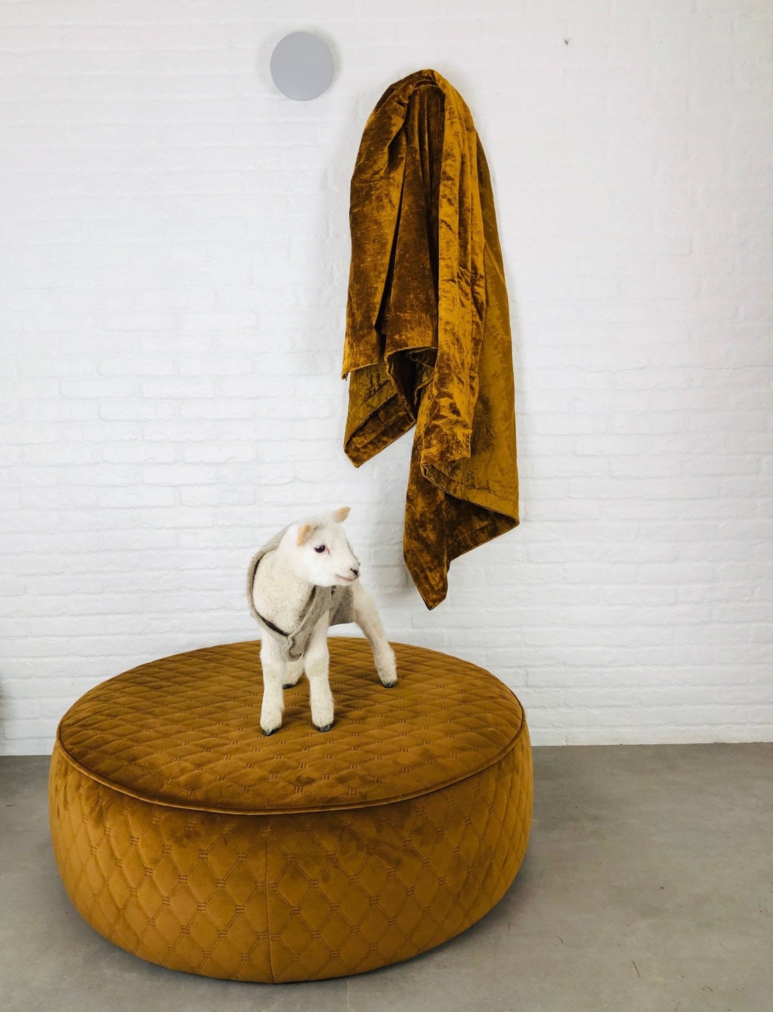 1000MM ROUND PELUCHE OTTOMAN by Zanders & Co